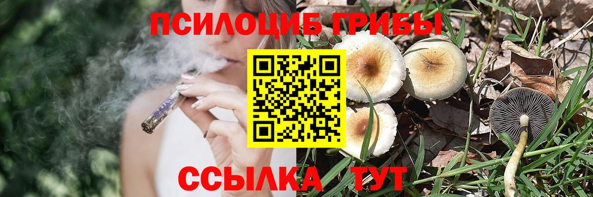 Галлюциногенные грибы Magic Shrooms Щёлково